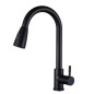 Canilla monocomando cocina pico cisne extensible (Negro)