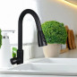 Canilla monocomando cocina pico cisne extensible (Negro)