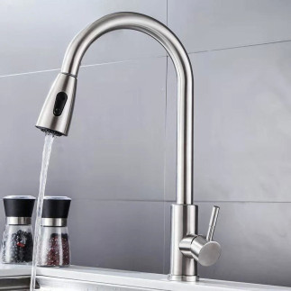 Canilla monocomando cocina pico cisne extensible (Acero inoxidable)